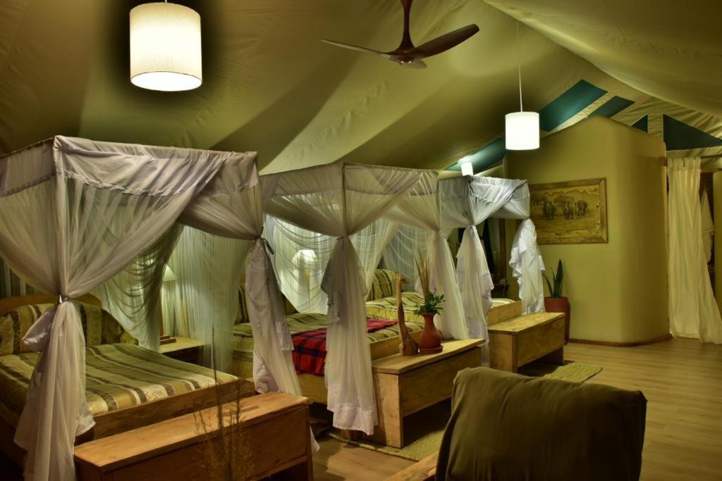 Mara Maisha Camp Talek Luaran gambar